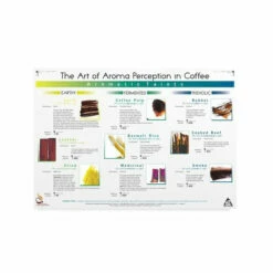 Art Of Aroma Taints Poster - SCAA