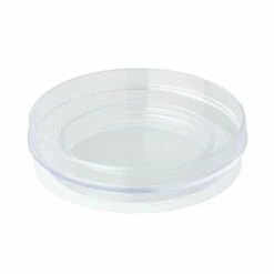 Dripster Carafe Lid