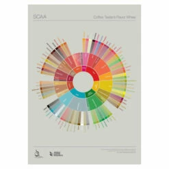 Coffee Taster's Flavour Wheel Chart - SCAA